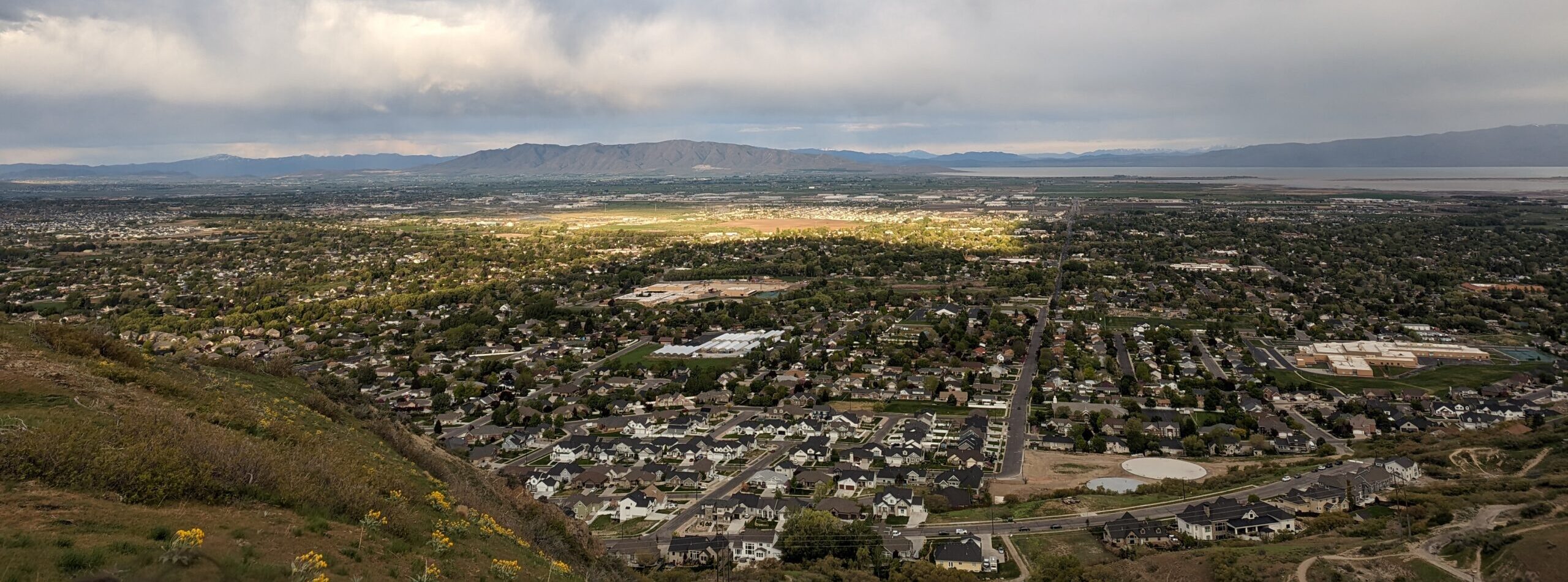 Picture of Karen Ellingson